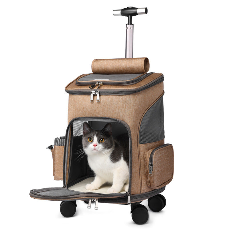 Pet Carrier
