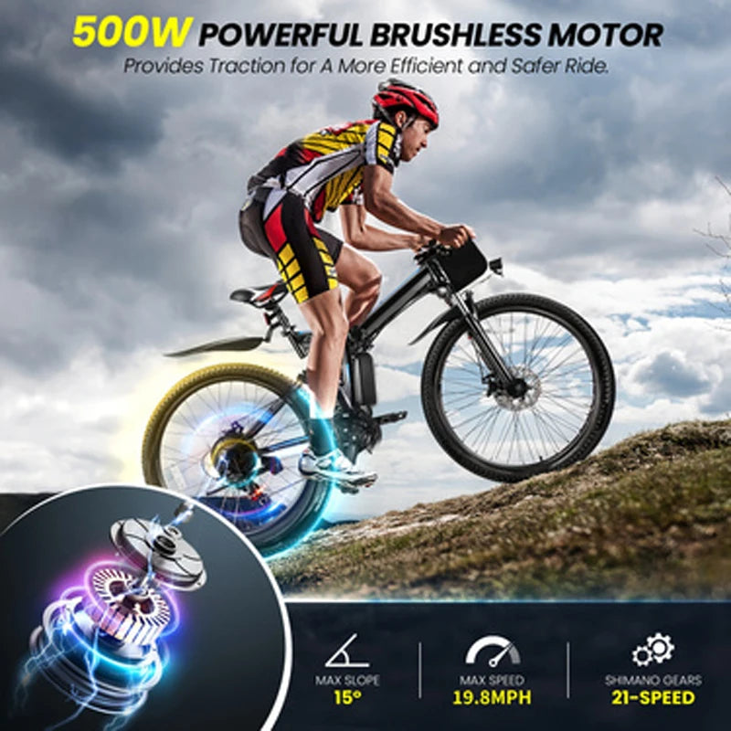 Folding Electric Bike