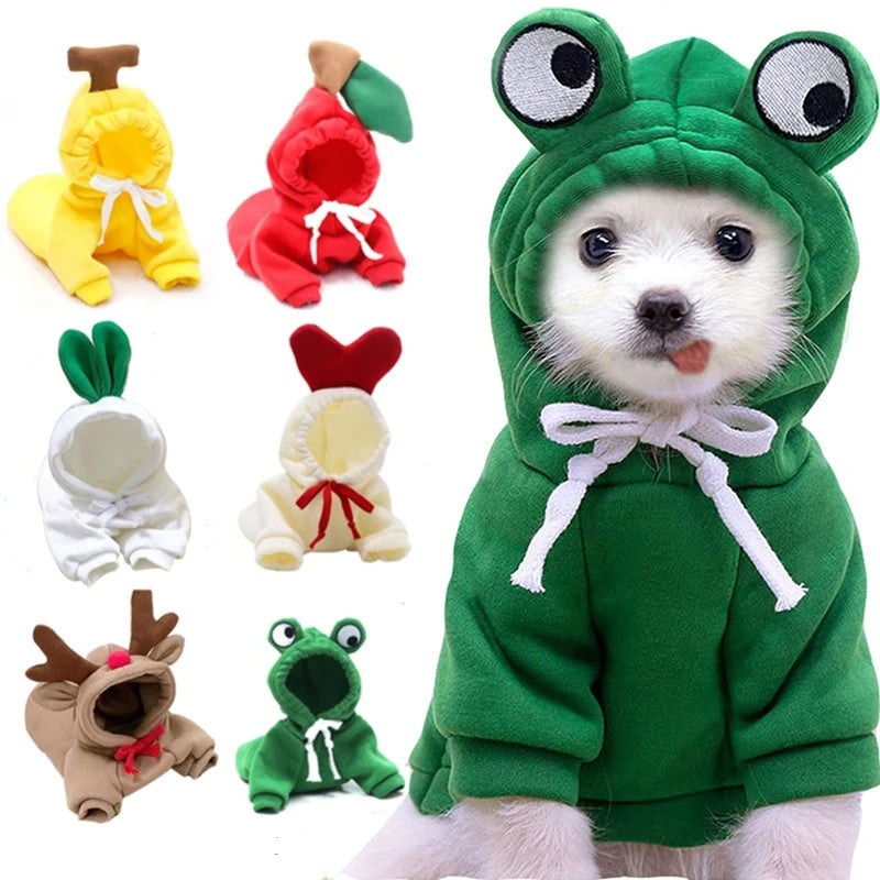 Small Pet Sweater