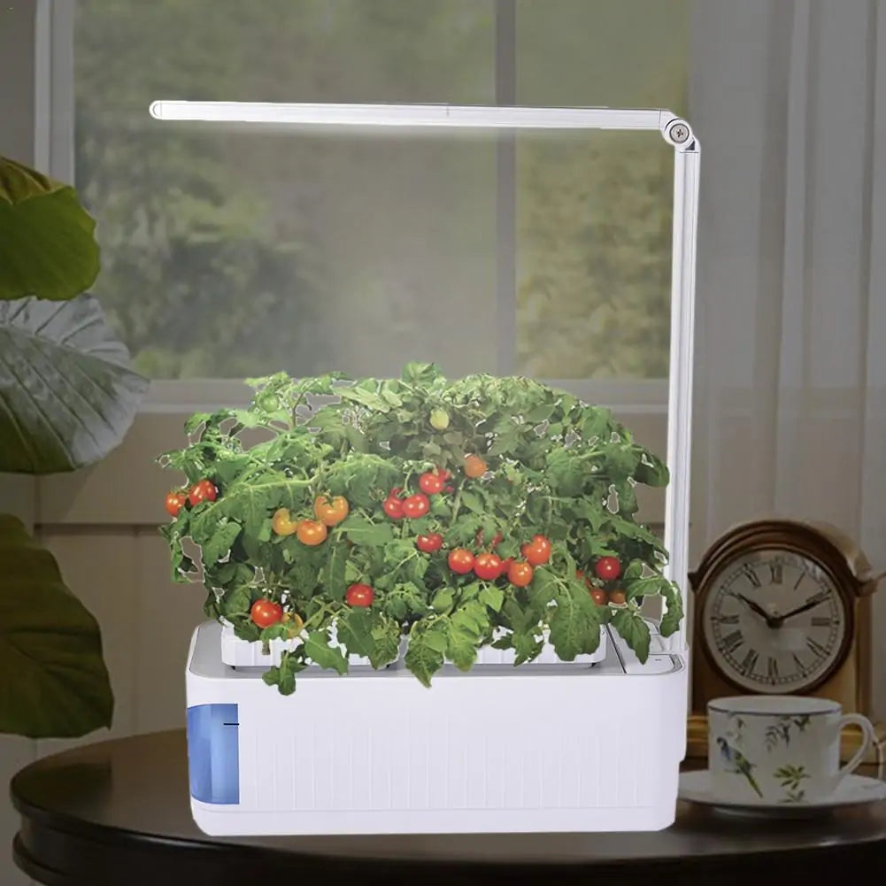  Hydroponic Indoor Herb Garden Kit