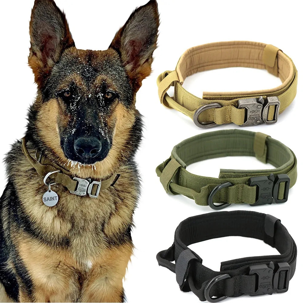  Dog Collar Dog Collar