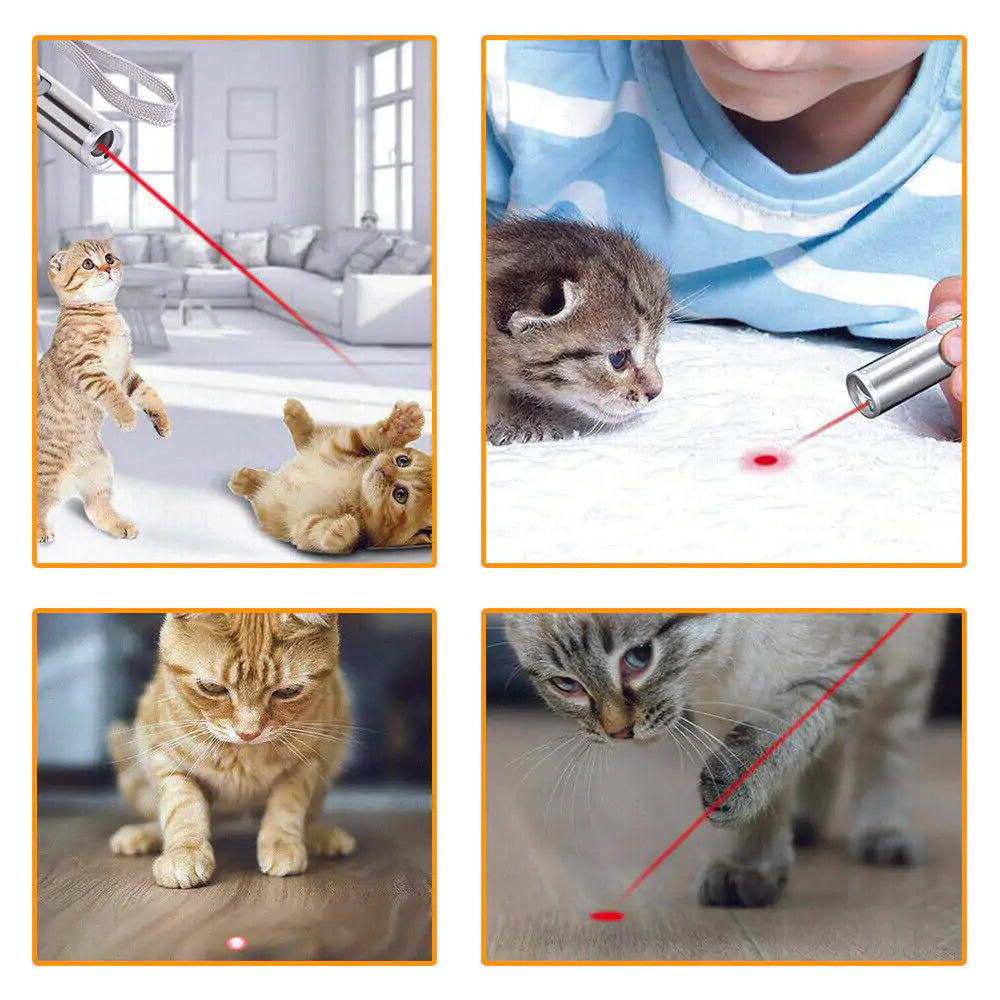  USB Rechargeable Cat Laser